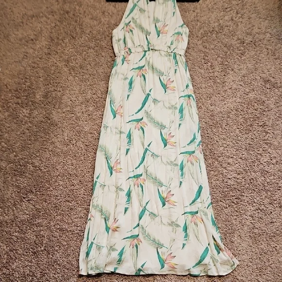 Z Supply Paradise Maxi Dress - Picture 5 of 15